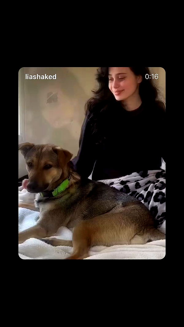 liashaked archive video preview