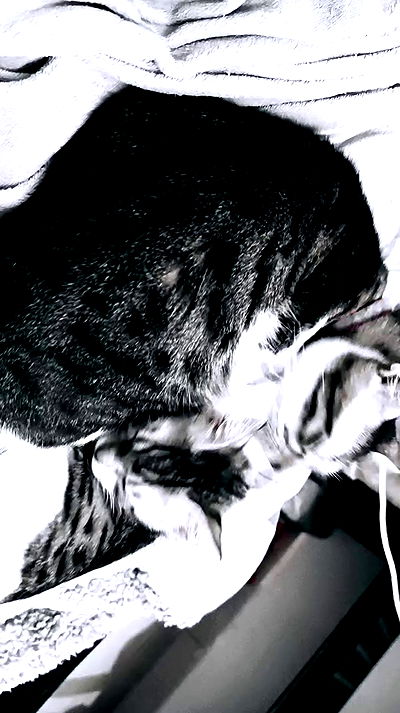 moonyyyya moonyyyya archive video