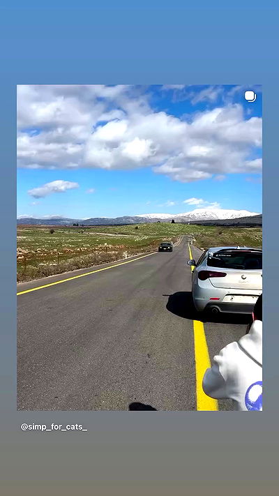 simp_for_cats_ simp_for_cats_ archive video