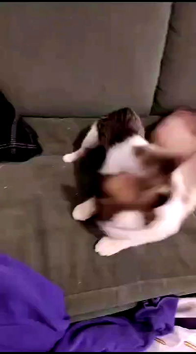 moonyyyya moonyyyya archive video