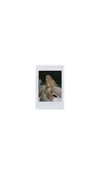 xtina Altpins Profile Picture