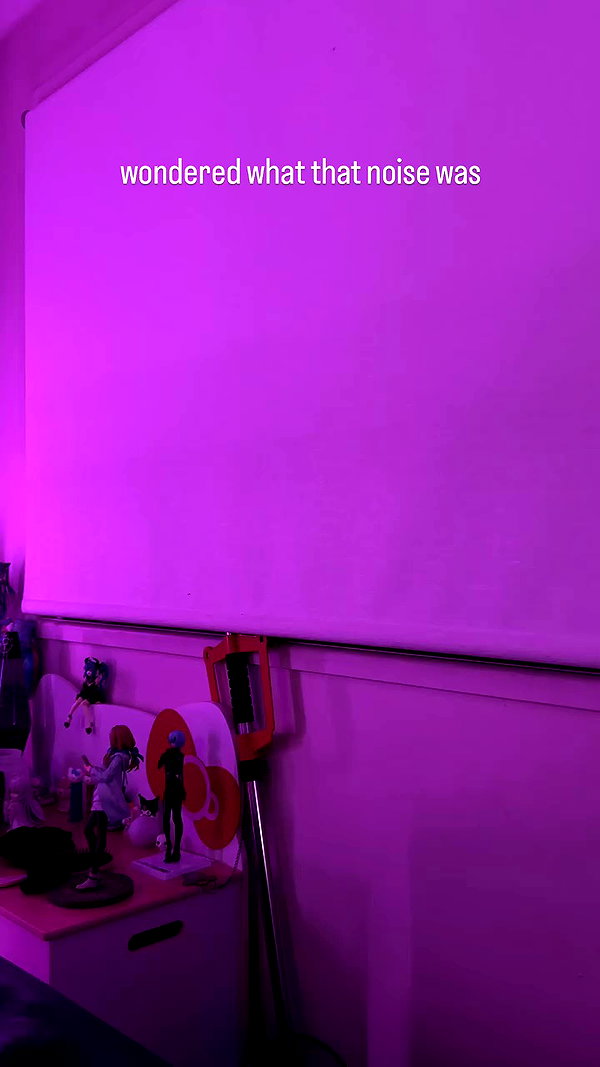 livindeadyaz archive video preview