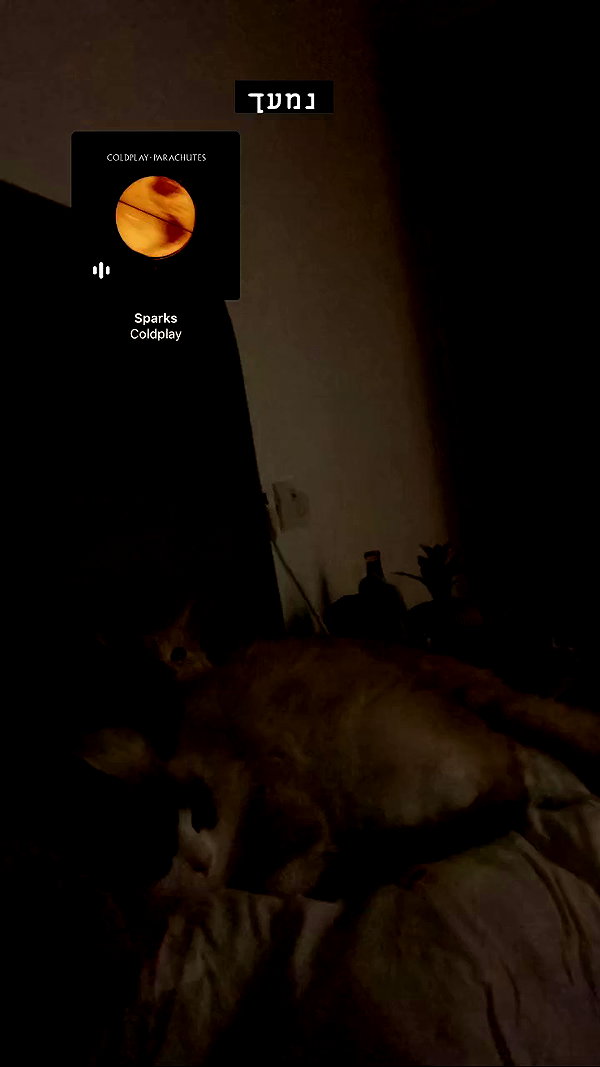 simp_for_cats_ archive video preview