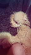 jade699x3 Altpins Profile Picture