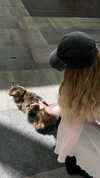alex.banin Altpins Profile Picture