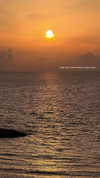 itsilanosh Altpins Profile Picture