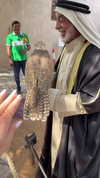 mishel_d_ Altpins Profile Picture