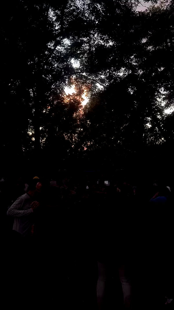 _b__eva__ archive video preview