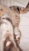 ronyida_ Altpins Profile Picture