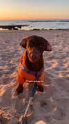 maya.keyy Altpins Profile Picture