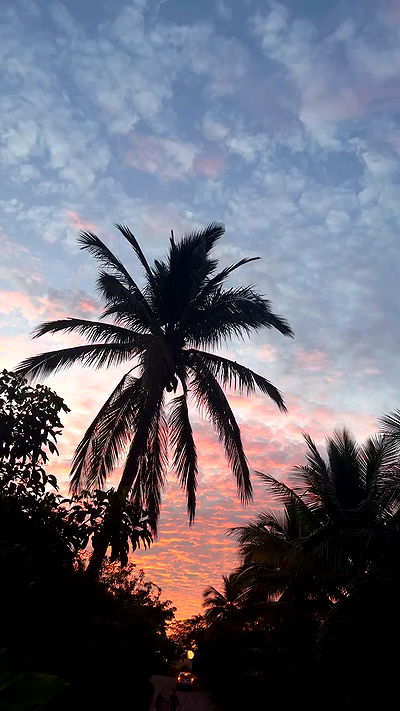 taylor.creeden taylor.creeden archive video