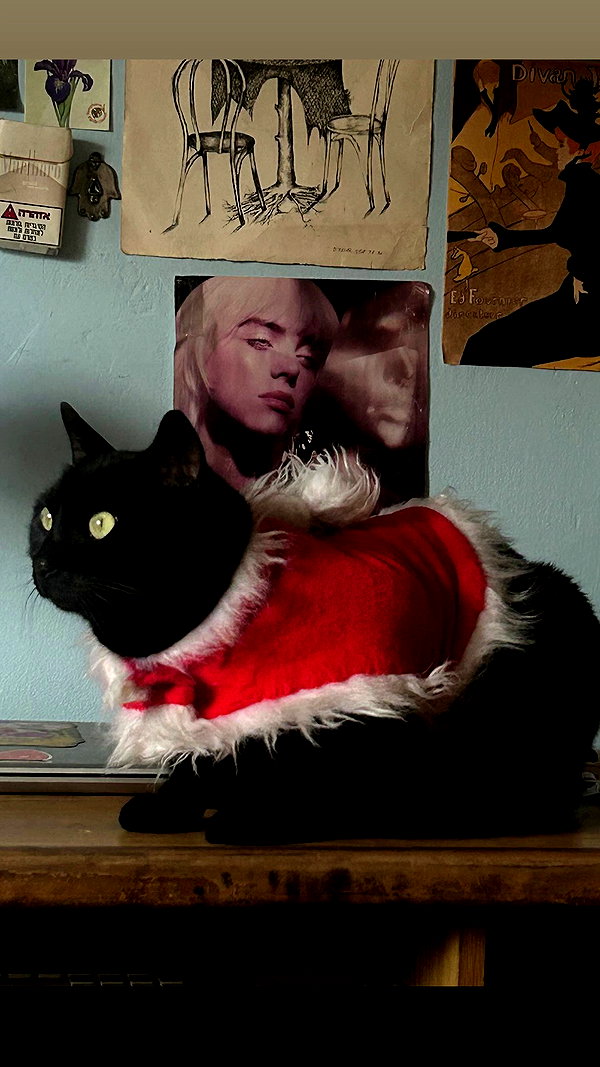 feelbetterinmysweater archive video preview