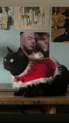 feelbetterinmysweater Altpins Profile Picture
