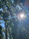 leahhalton Altpins Profile Picture