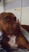 lielyovel Altpins Profile Picture
