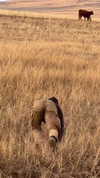 gritsa.k Altpins Profile Picture