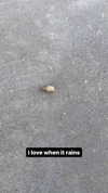 butter.on.a.poptart69 Altpins Profile Picture