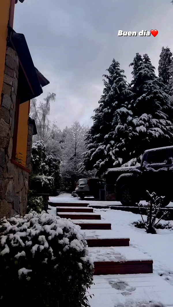 _aldibernardo archive video preview