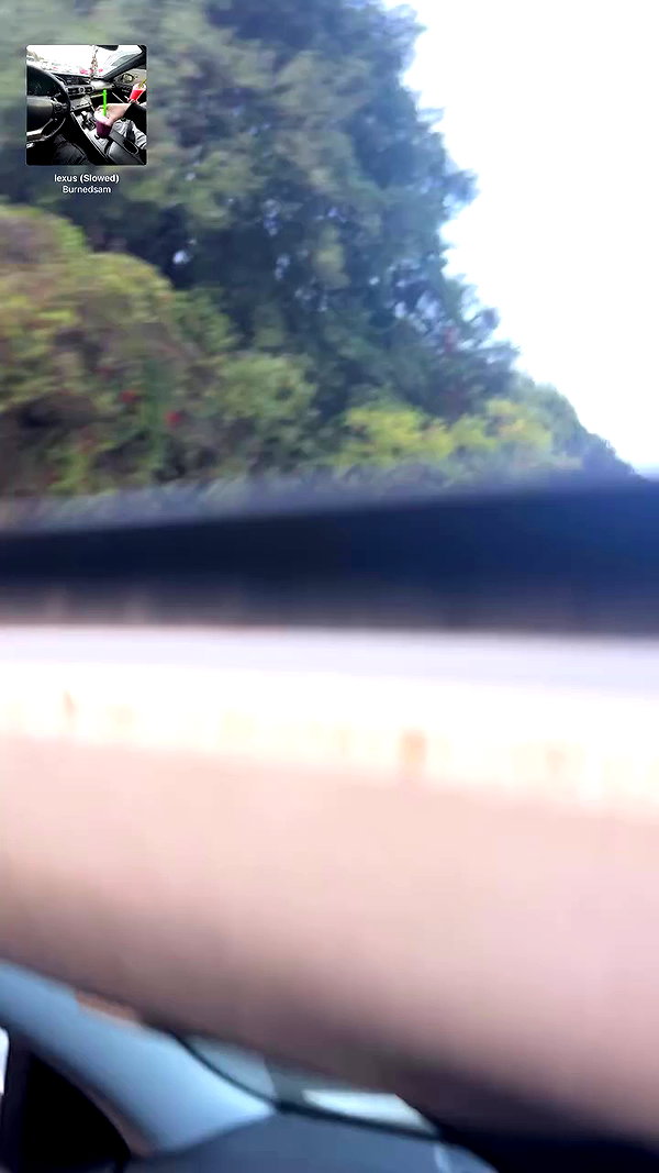 simp_for_cats_ archive video preview