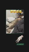 lissi77 Altpins Profile Picture