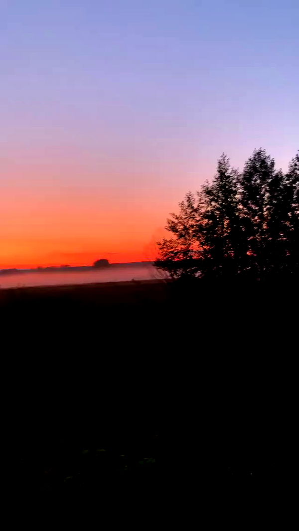 nyityam archive video preview