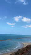 sonia_litvanchuk Altpins Profile Picture