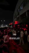 napopo_pub Altpins Profile Picture