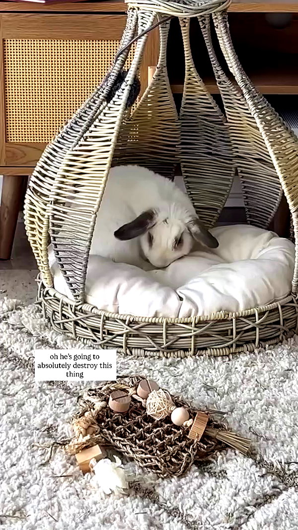 danielle.mercedie archive video preview