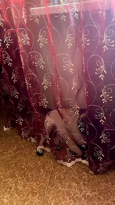 nyityam nyityam archive video