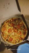 solzarubin_ Altpins Profile Picture