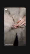 alisen.mari Altpins Profile Picture