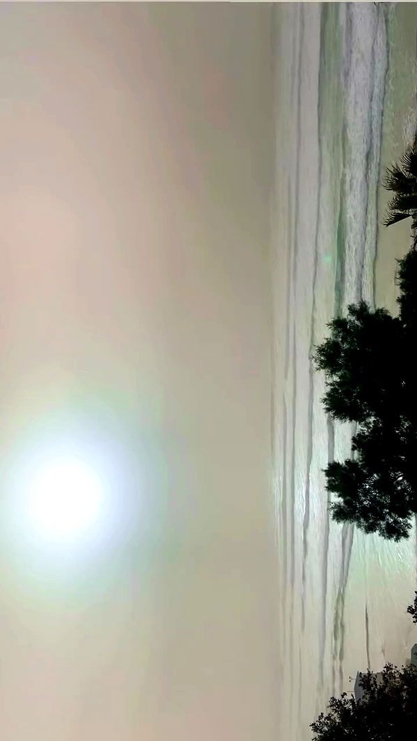 rose_xanne archive video preview