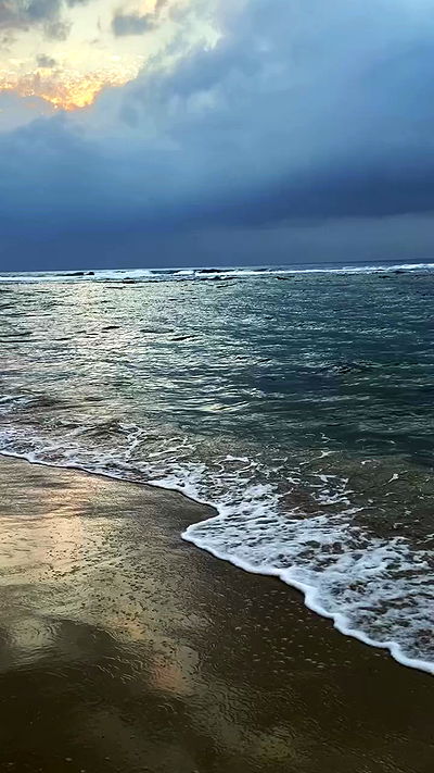 rose_xanne rose_xanne archive video