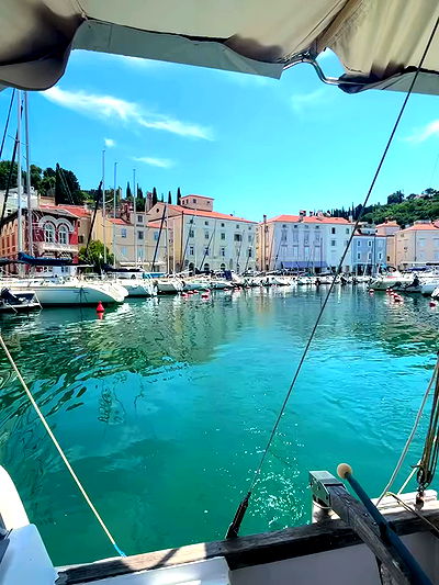 ellamwatts_ ellamwatts_ archive video