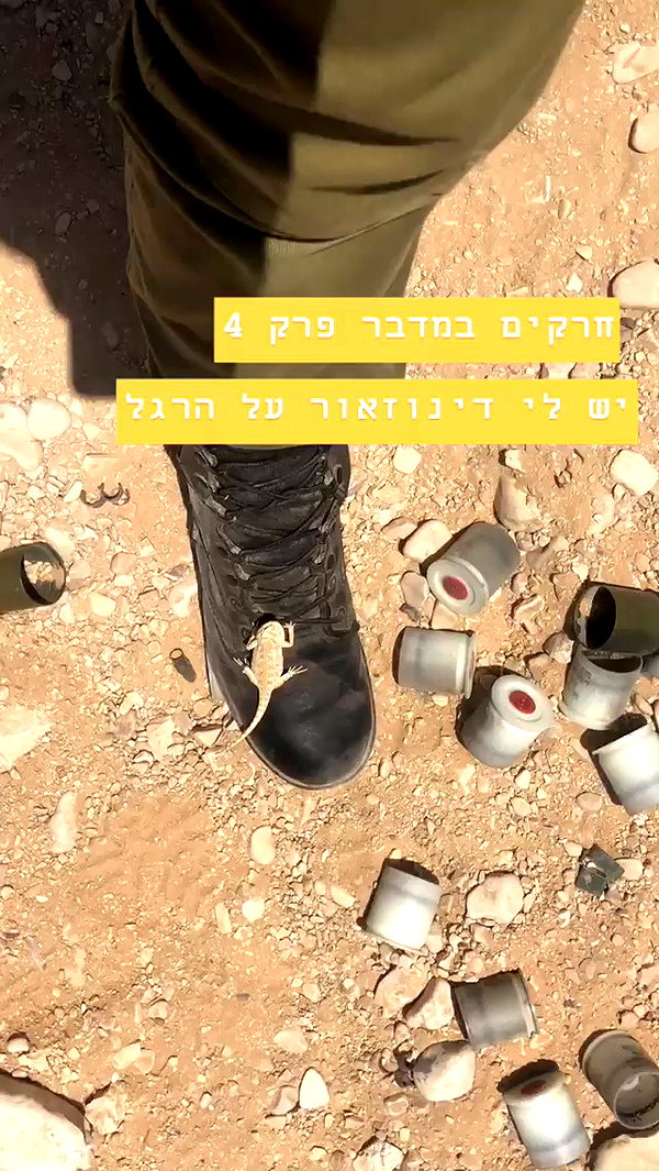 romi_henenson archive video preview