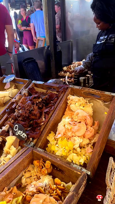 taylor.creeden taylor.creeden archive video