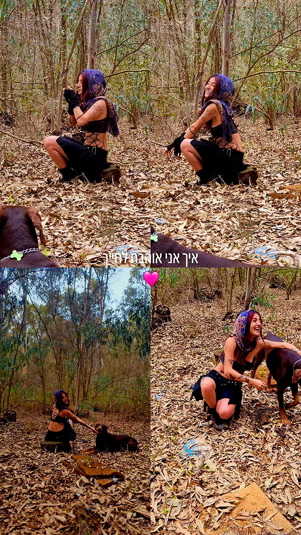 shaharo__._ archive video preview