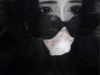 hanfbbae Altpins Profile Picture
