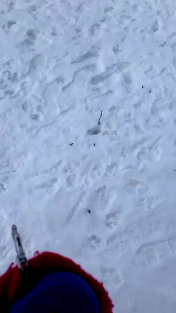 nyityam archive video preview