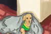 gissell_eli Altpins Profile Picture