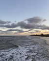 solzarubin_ Altpins Profile Picture
