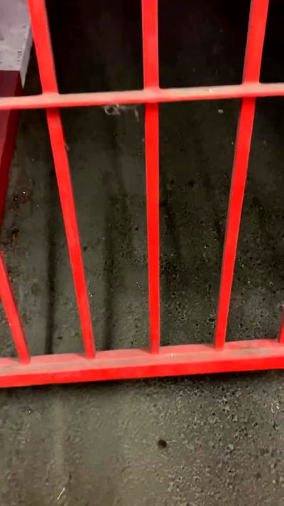 elianachetrit elianachetrit archive video