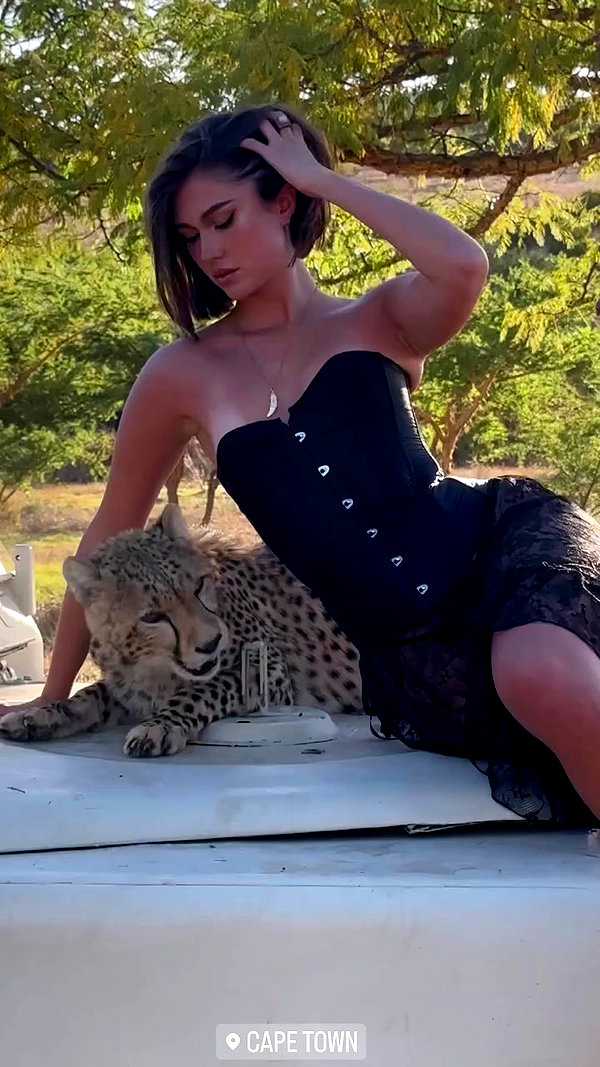 taylor.creeden archive video preview