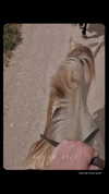 emily.otaku Altpins Profile Picture