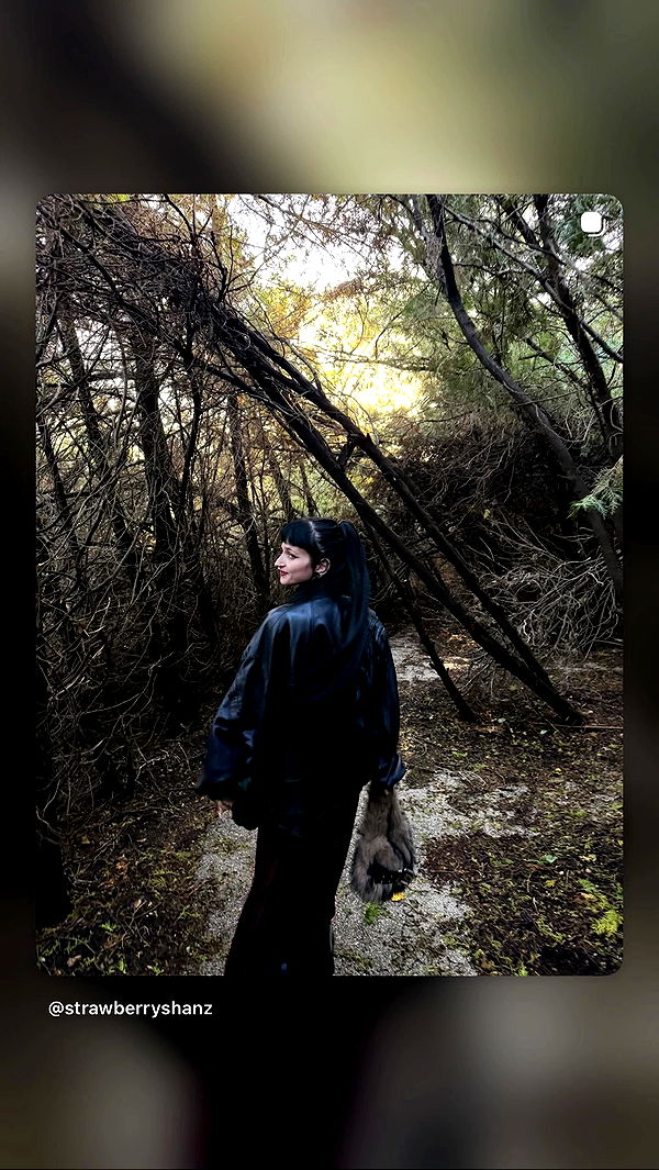 strawberryshanz archive video preview