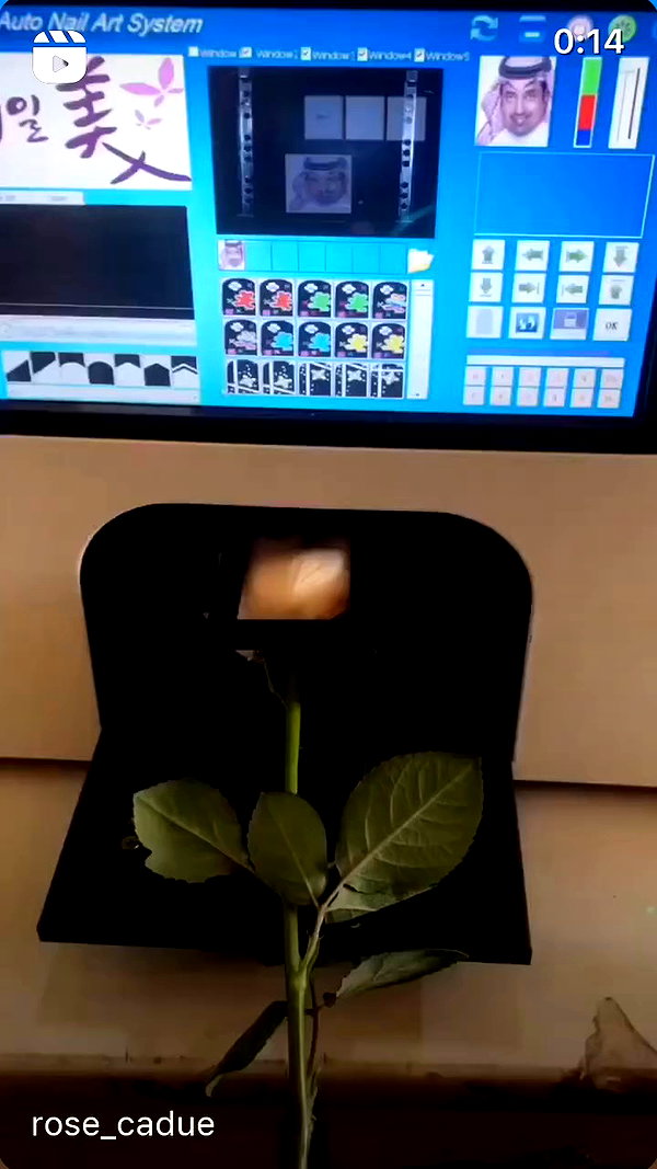 daryanedarya archive video preview
