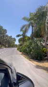 libby_reut Altpins Profile Picture