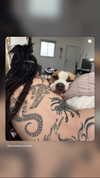 strawberryshanz Altpins Profile Picture