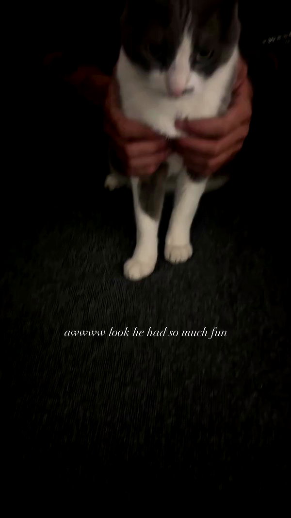 ker888nyz archive video preview