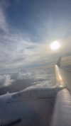 yuli.barell Altpins Profile Picture